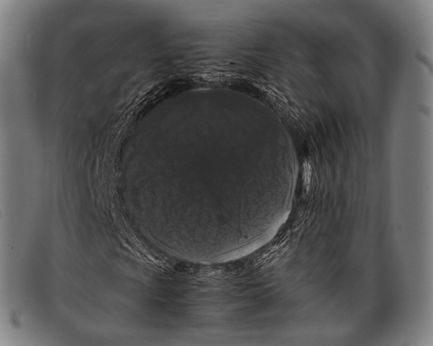 X0000097841009200804041438