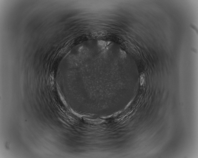X0000097841011200804041438
