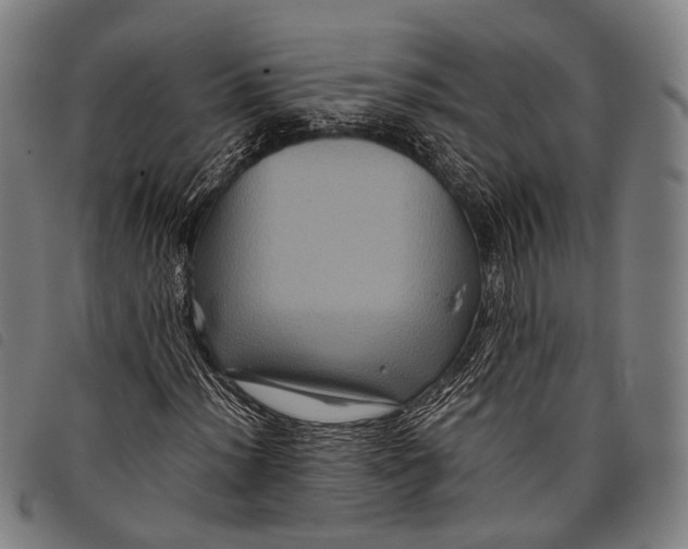 X0000097841012200804041438