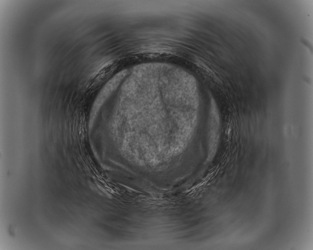 X0000097841014200804041438