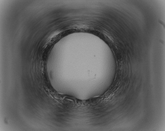 X0000097841016200804041438