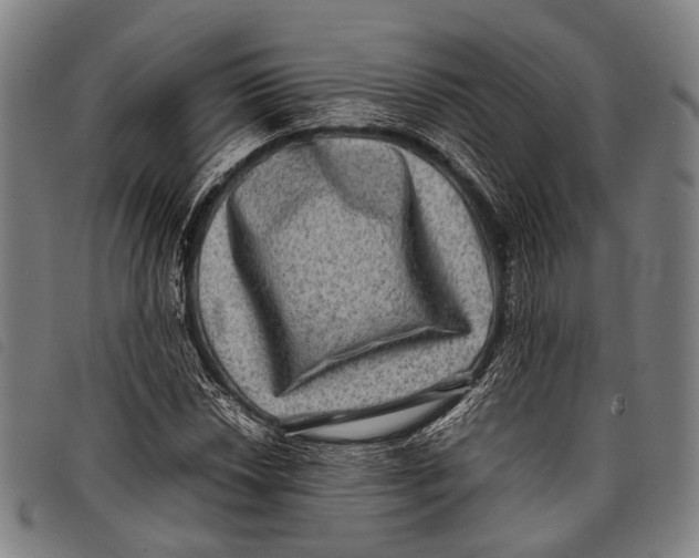X0000097841018200804041438