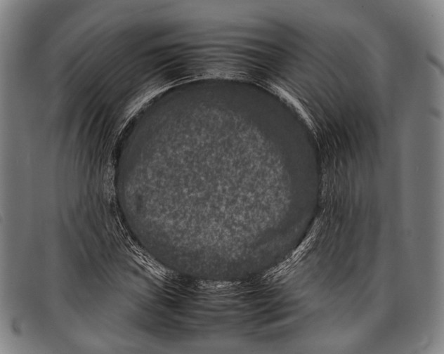 X0000097841019200804041438