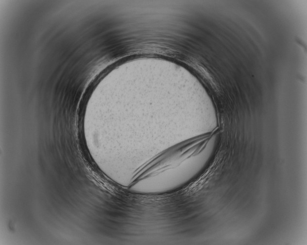 X0000097841020200804041438