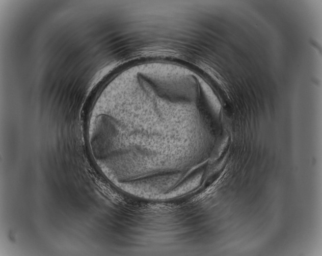 X0000097841022200804041438