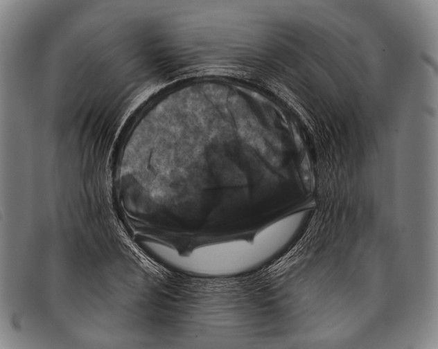 X0000097841024200804041438