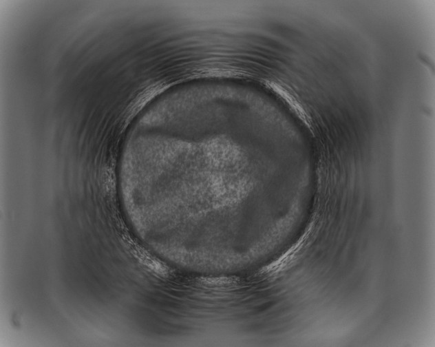 X0000097841025200804041438