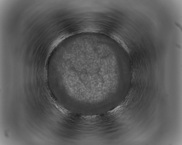 X0000097841027200804041438