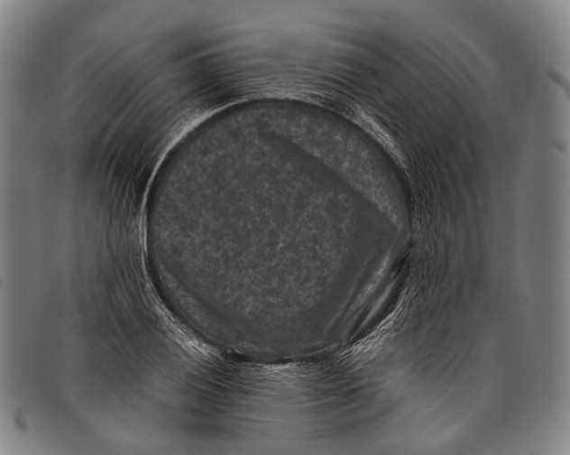 X0000097841028200804041438