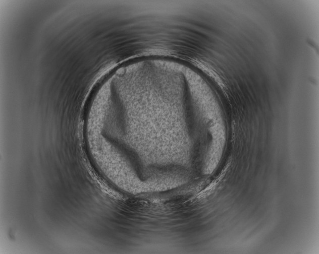 X0000097841029200804041439