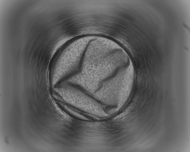X0000097841030200804041439