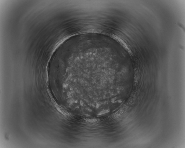 X0000097841031200804041439