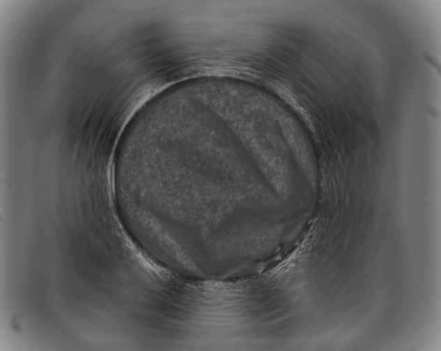 X0000097841032200804041439