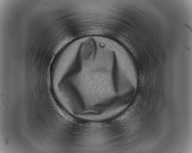 X0000097841034200804041439