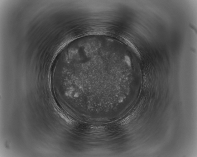X0000097841035200804041439