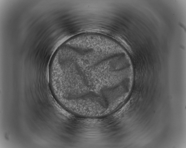X0000097841036200804041439