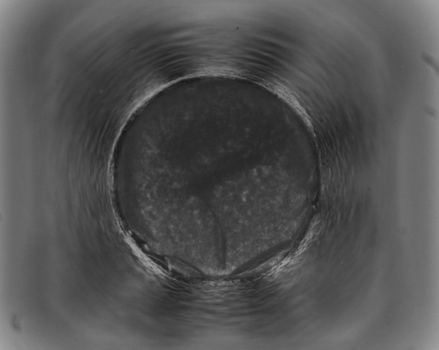 X0000097841037200804041439