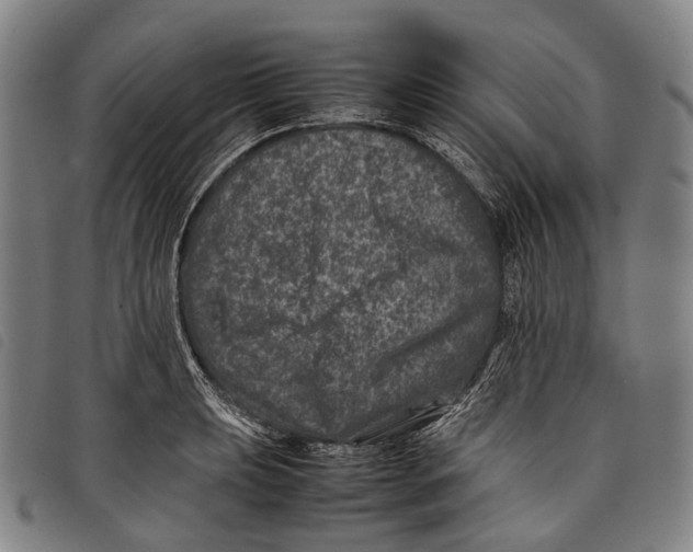 X0000097841039200804041439
