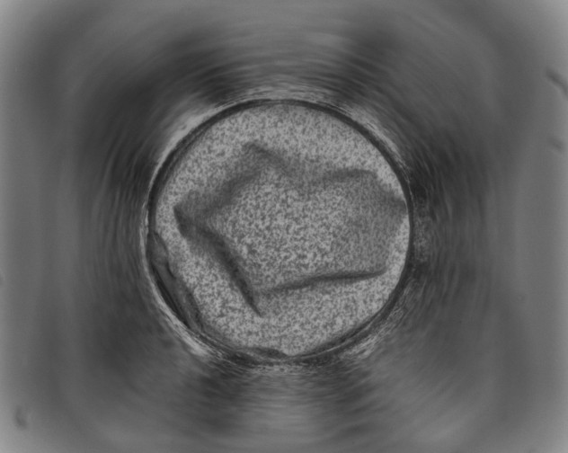 X0000097841040200804041439