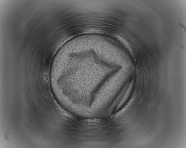 X0000097841041200804041439