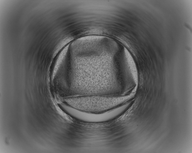 X0000097841042200804041439