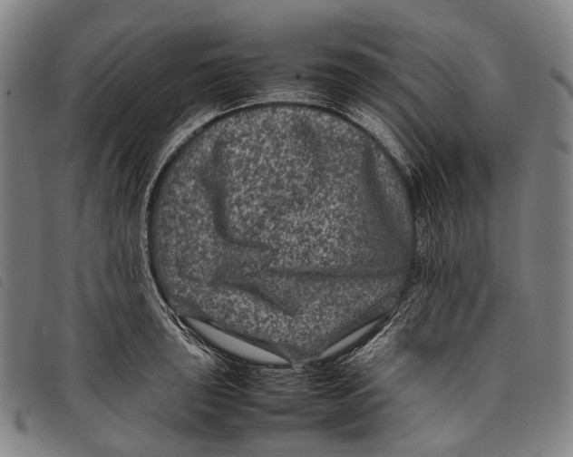 X0000097841043200804041439