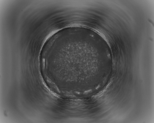 X0000097841045200804041439