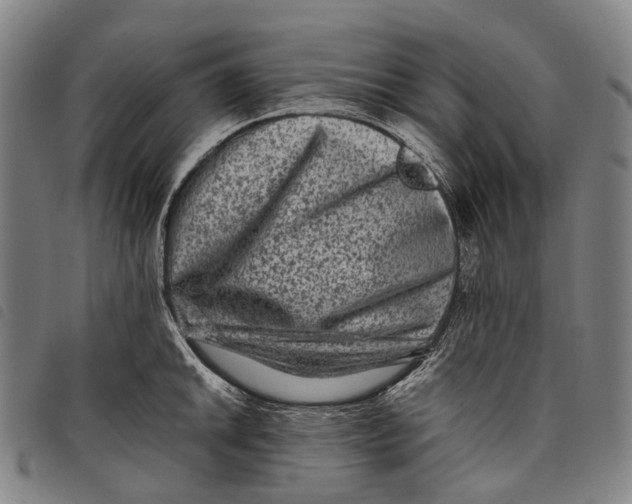 X0000097841046200804041439