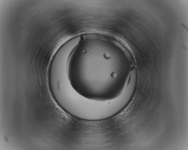 X0000097841048200804041439