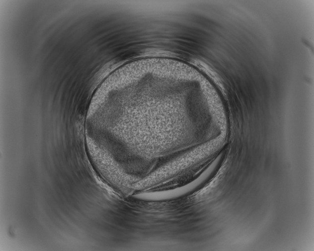 X0000097841049200804041439