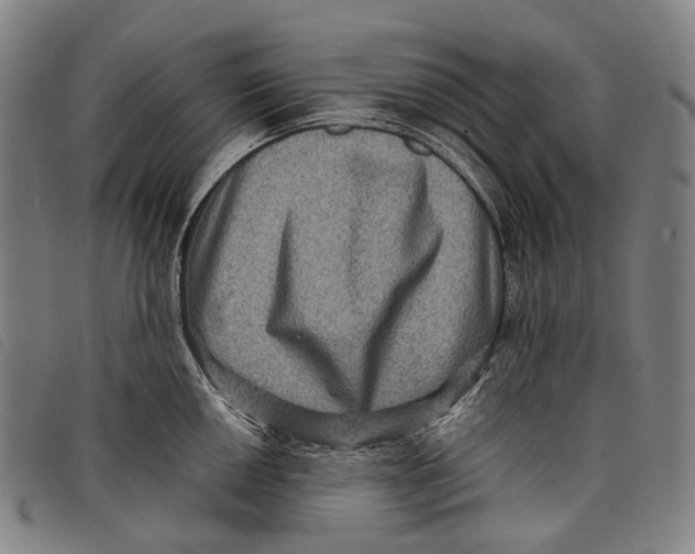 X0000097841050200804041439
