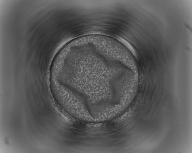 X0000097841051200804041439