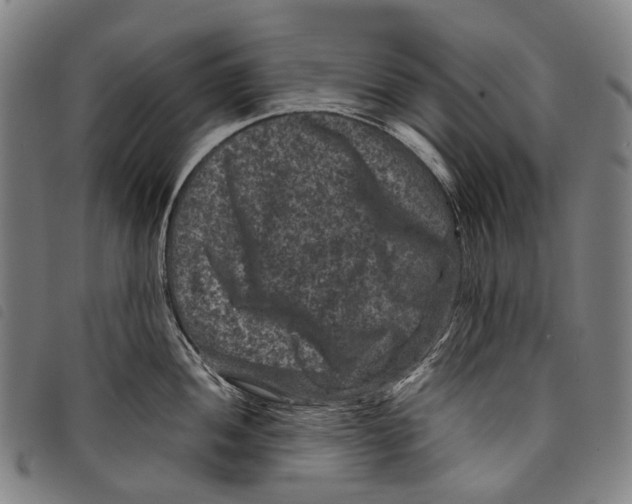 X0000097841052200804041439