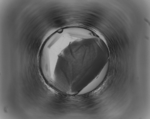 X0000097841053200804041439