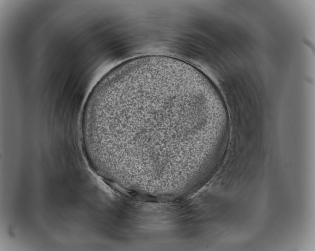 X0000097841056200804041439