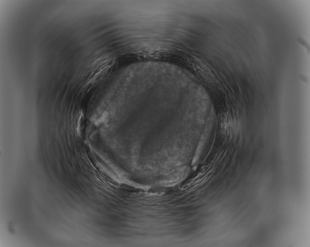 X0000097841060200804041438