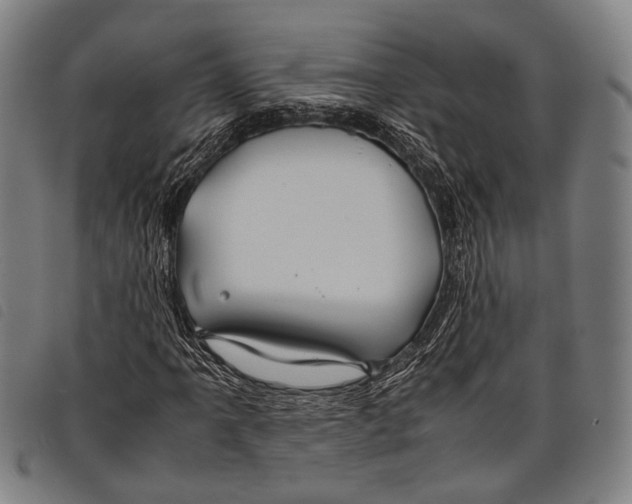 X0000097841061200804041438