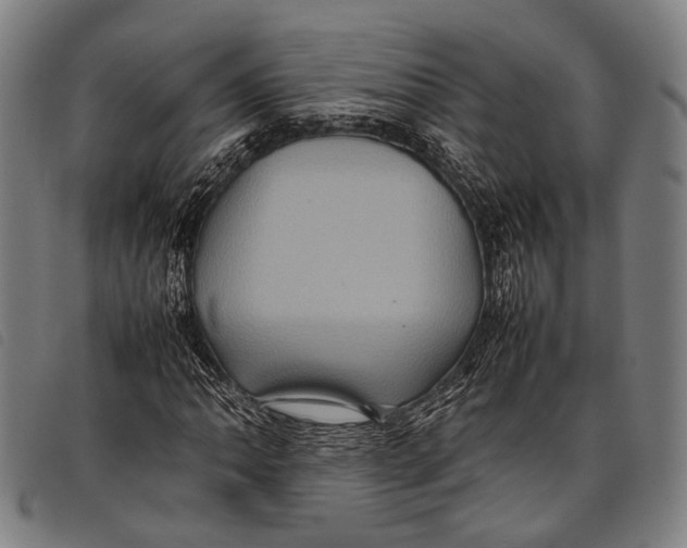 X0000097841062200804041438