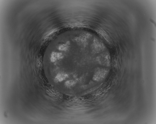 X0000097841063200804041438