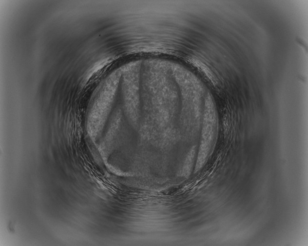 X0000097841064200804041438