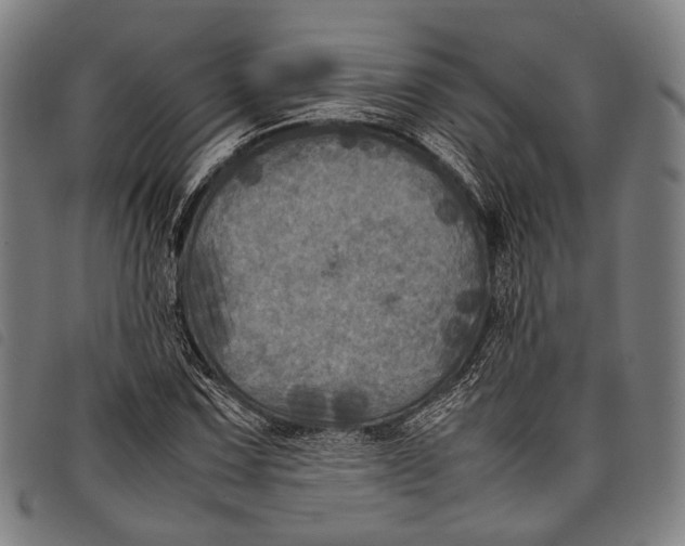 X0000097841067200804041438