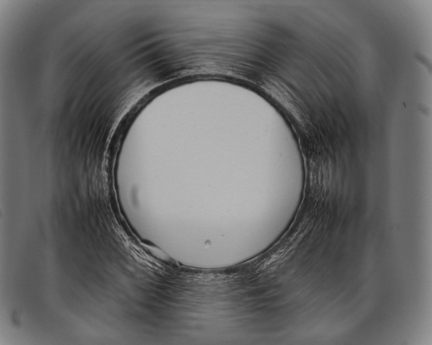 X0000097841068200804041438
