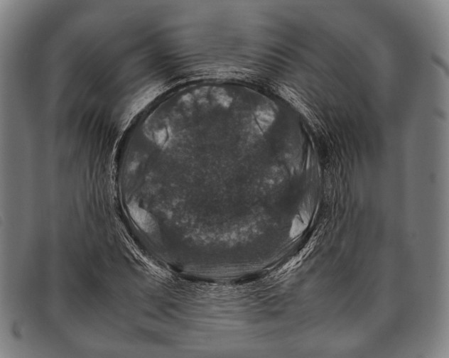 X0000097841071200804041438