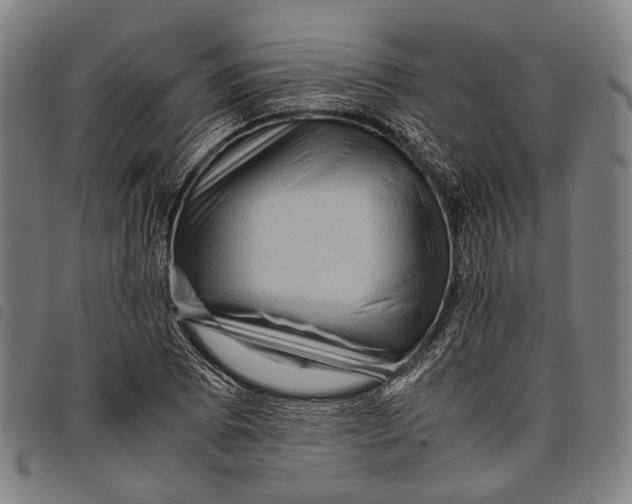 X0000097841073200804041438