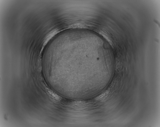X0000097841075200804041438