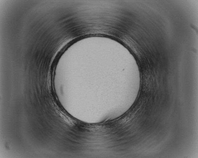 X0000097841076200804041438