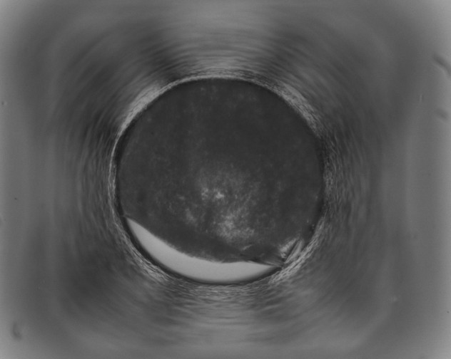X0000097841077200804041438