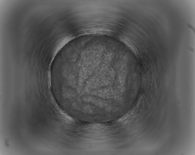 X0000097841079200804041438