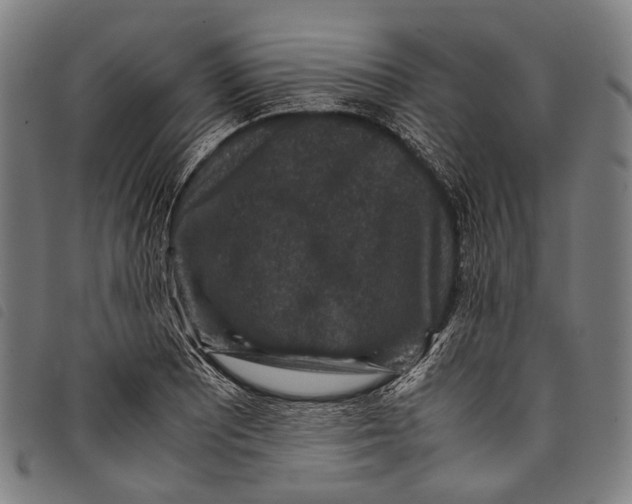X0000097841081200804041438