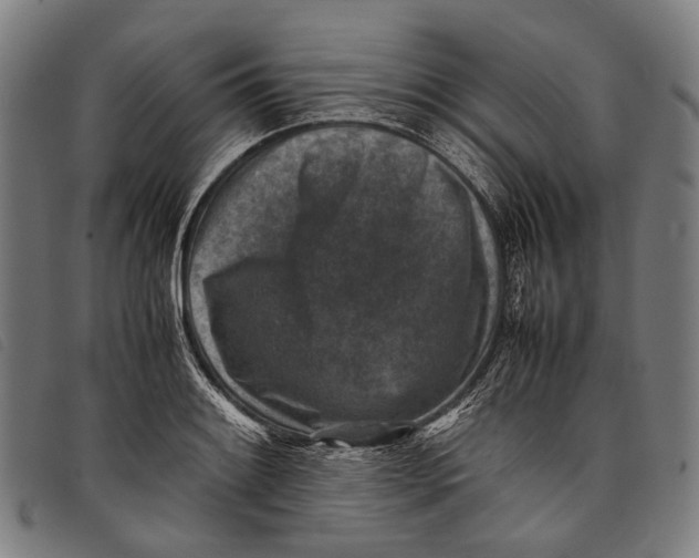 X0000097841084200804041438